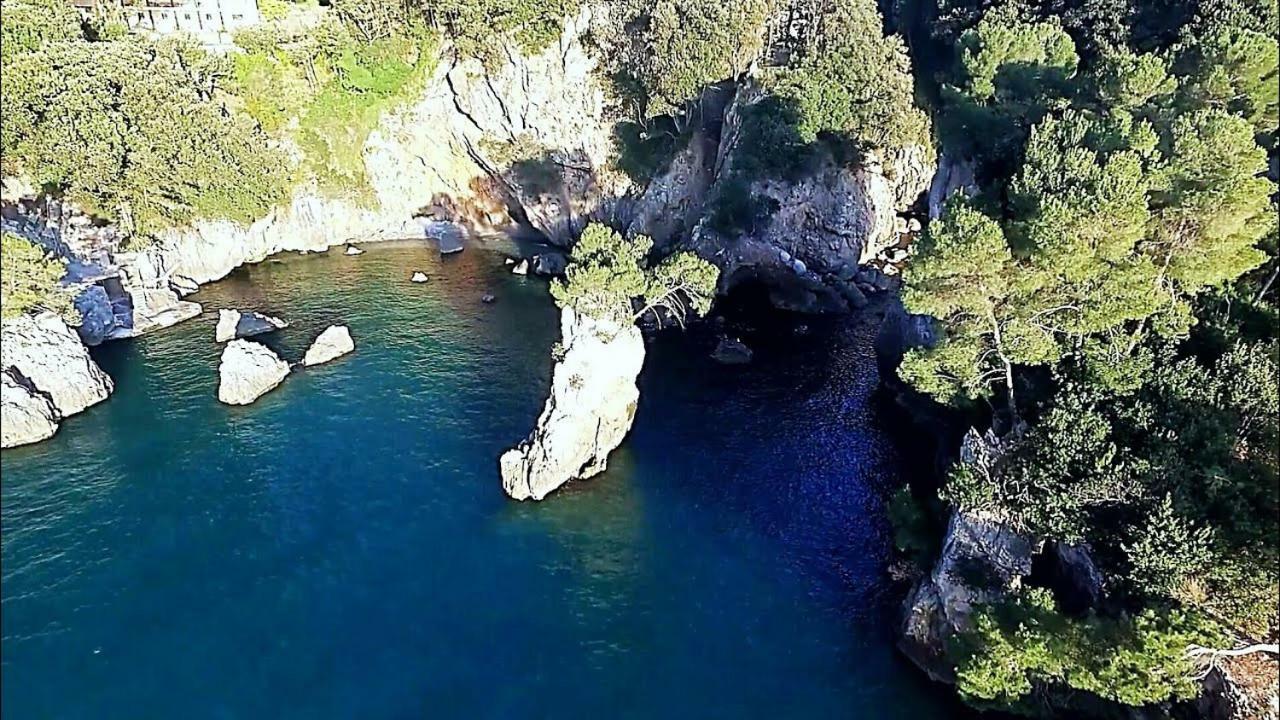 Affittacamere Mediterraneo *