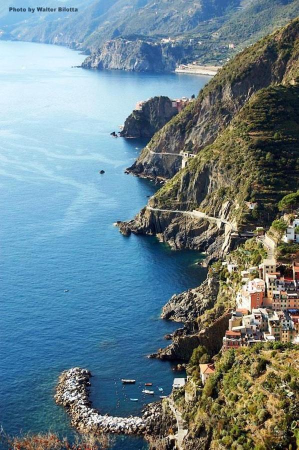 Affittacamere Mediterraneo *
