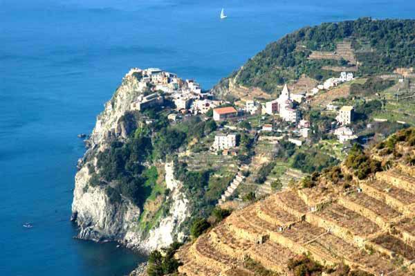 Affittacamere Affittacamere Mediterraneo La Spezia