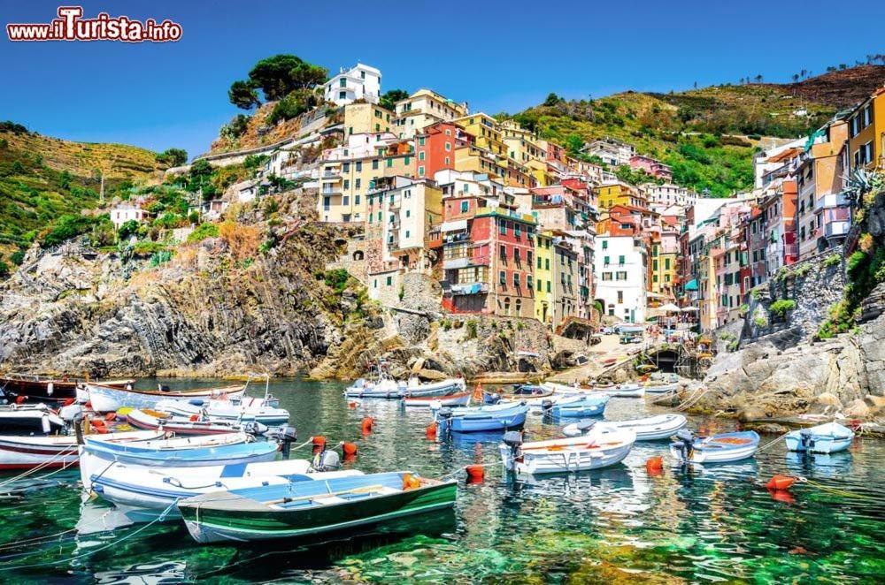Affittacamere Mediterraneo