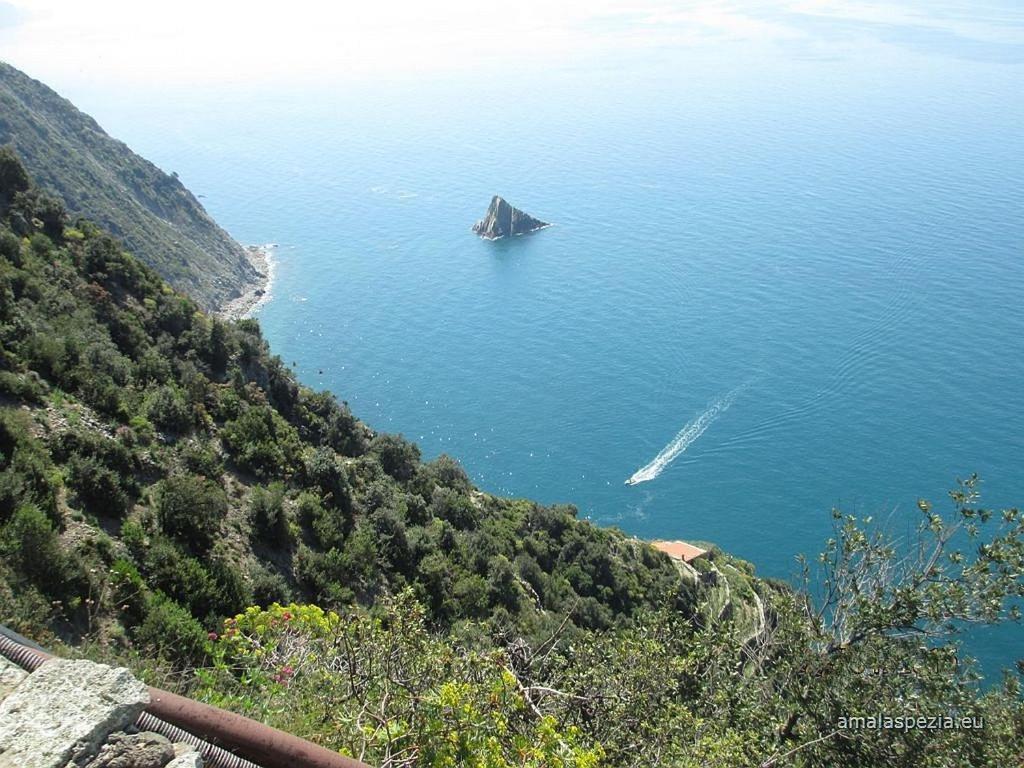 Affittacamere Affittacamere Mediterraneo La Spezia